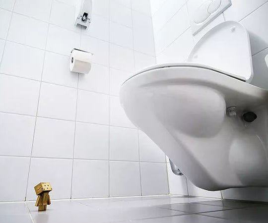 CTR Toilet Expo